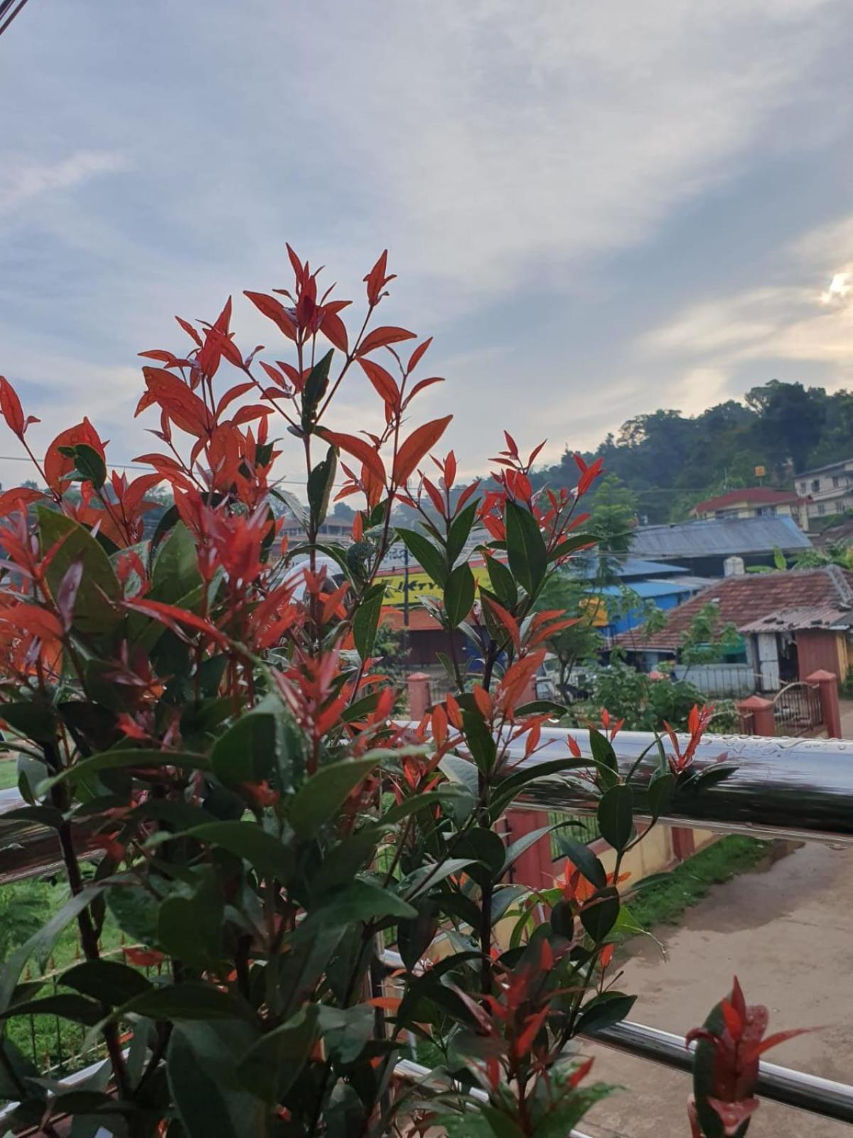 Varam Homestay Madikeri Kültér fotó